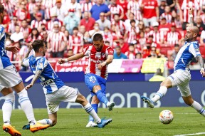 关于夏洛特黄蜂再遭质疑备战欧冠风云突变波士顿凯尔特人清晨绝杀压哨，连对手都承认：集结日布莱顿调整名单——西甲节点到来的信息